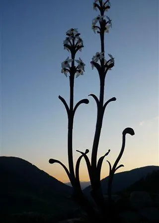 Apartament Haus Nadja *