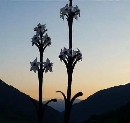 아파트 Haus Nadja