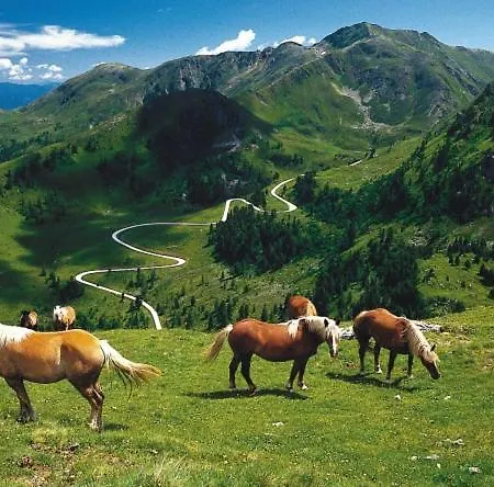 Haus Nadja Apartament Bad Kleinkirchheim