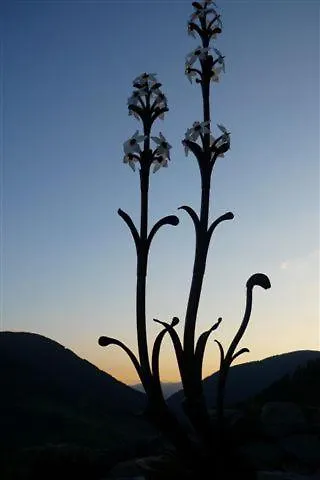 Apartment Haus Nadja *