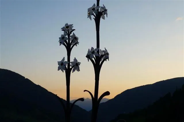 Apartment Haus Nadja Bad Kleinkirchheim