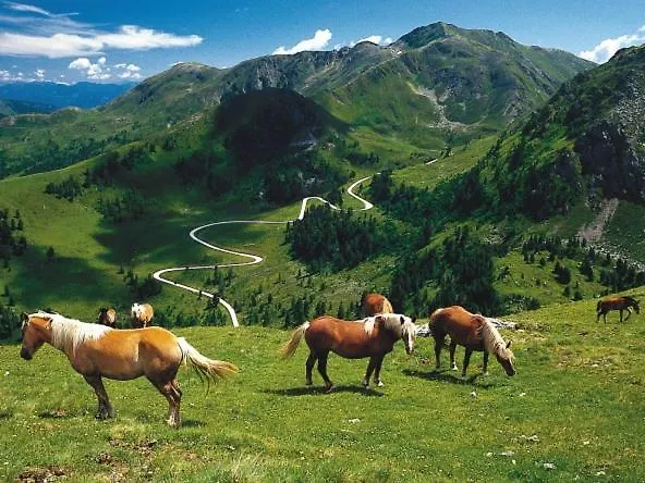 Haus Nadja Apartment Bad Kleinkirchheim